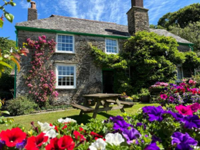 Shute Farm